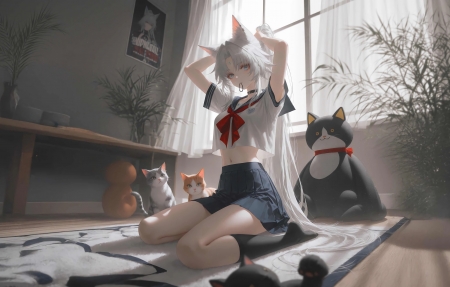 漫画家创作心路历程